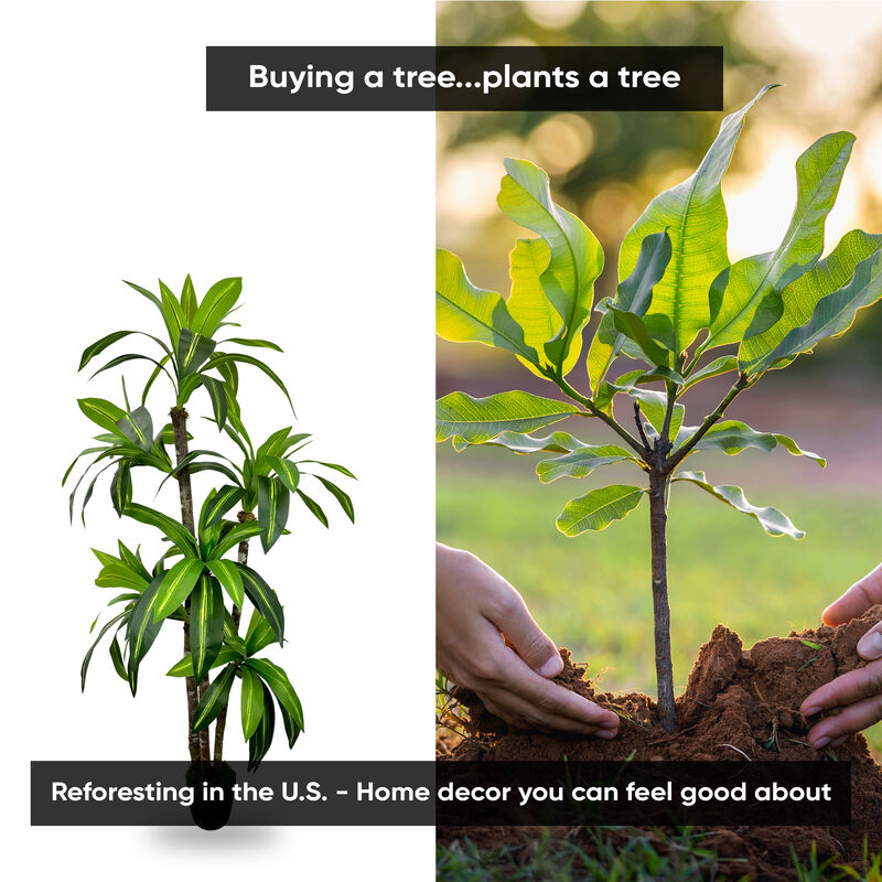 Handmade 6' Artificial Dracaena Tree In Home Basics Starter Pot Made with Real Wood and Moss Accents