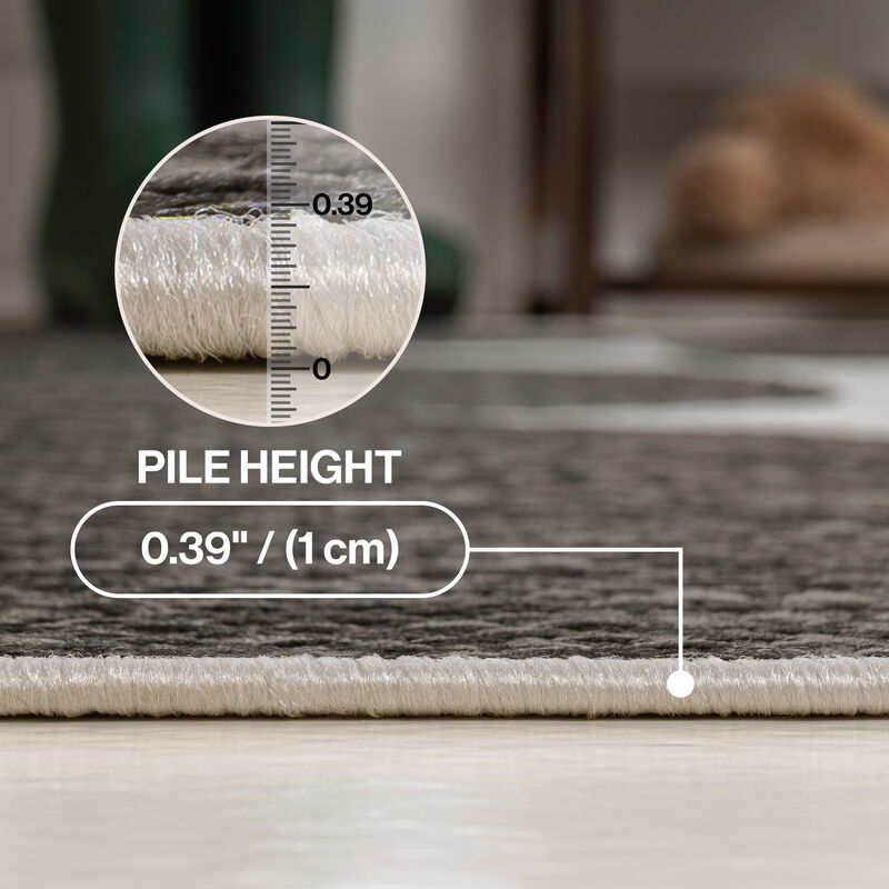 Rayna Modern Geometric Organic Shapes Indoor/Outdoor Area Rug