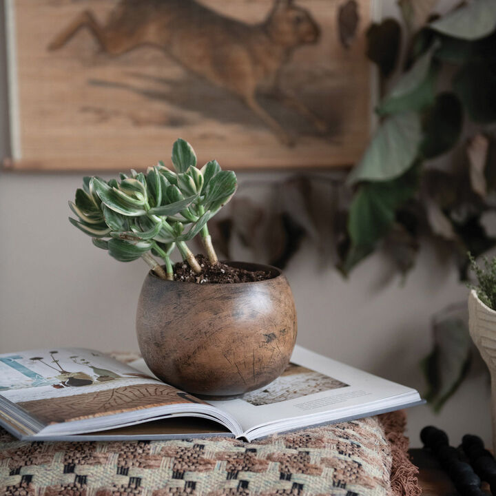 Mango Wood Bowl, Walnut Finish