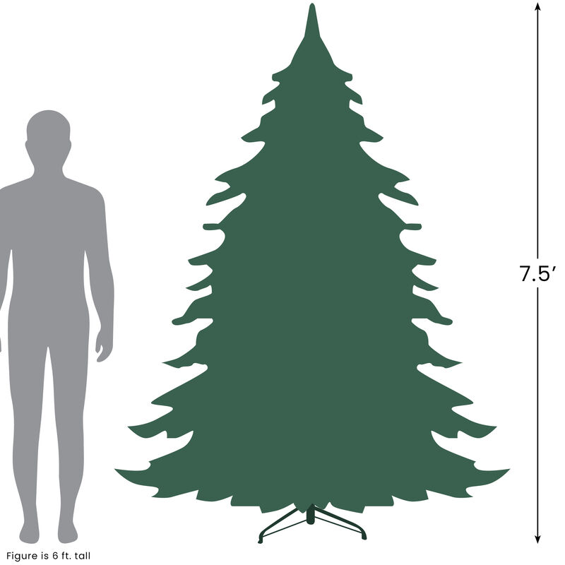 7.5' Pre-Lit Slim Flocked Colorado Spruce Artificial Christmas Tree - Clear Dura-Lit Lights