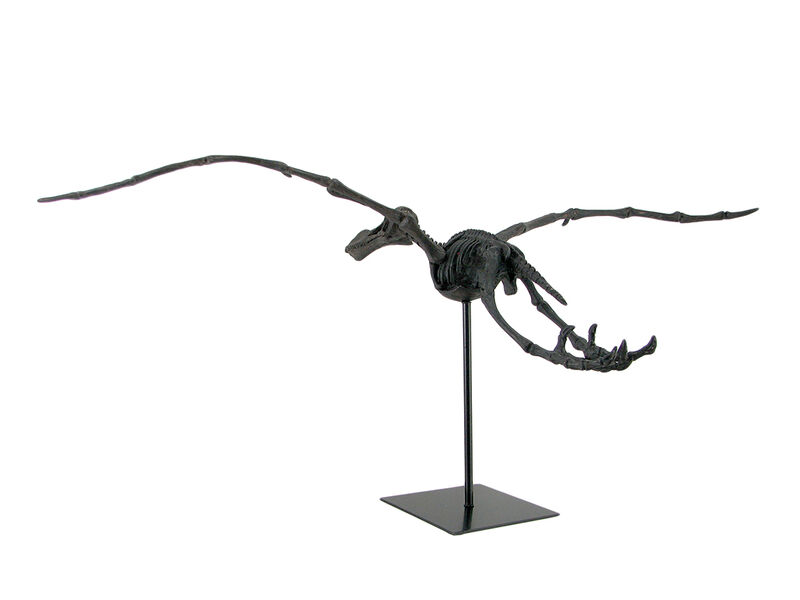 Museum Mounted Pterosaur Flying Dinosaur Fossil Replica Statue image number 2