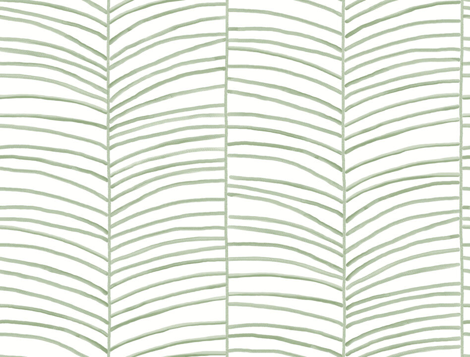 Cascade Palm Chevron Palm Wallpaper