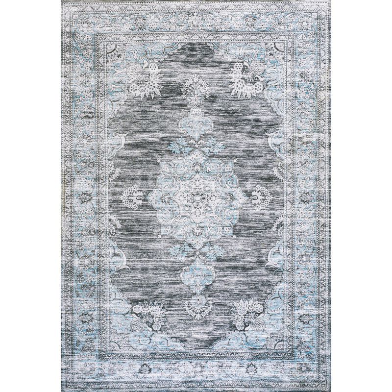 Bausch Bohemian Distressed Chenille Machine-Washable Area Rug
