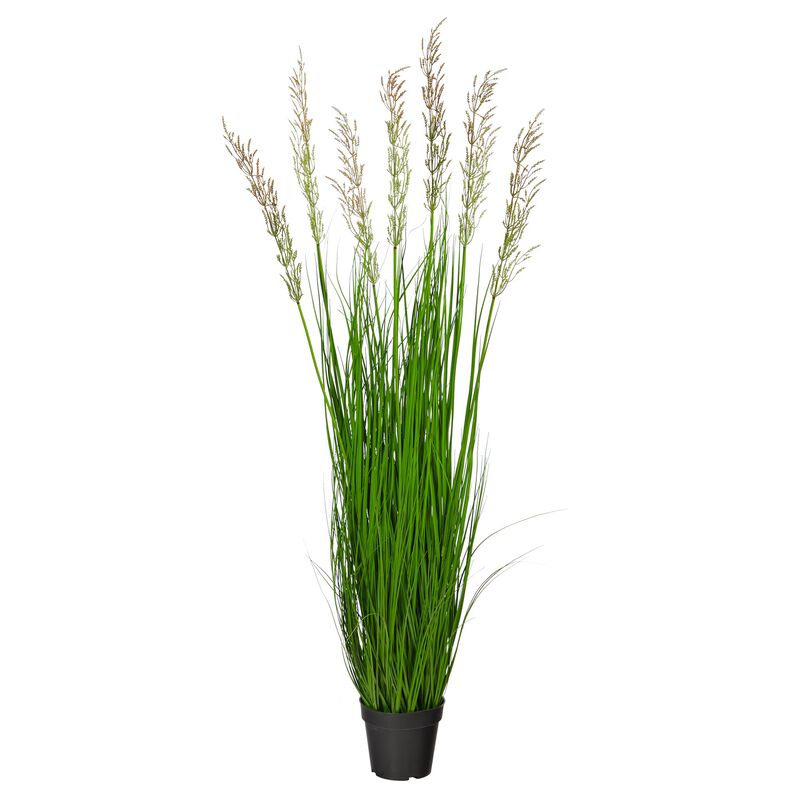 HomPlanti 4.5" Plum Grass Artificial Plant