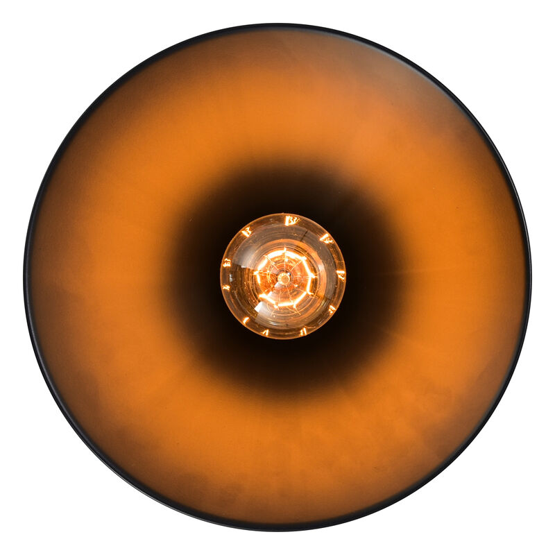 Brave 1 Light Down Mini Pendant With Black Finish