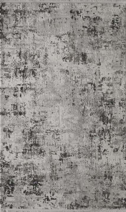 HomeRoots Abstract Distressed Area Rug With Fringe