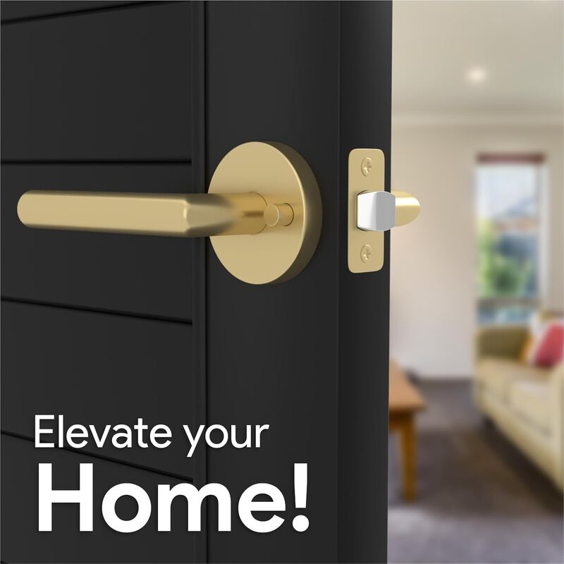 Mega Handles | Ronn Privacy Lever