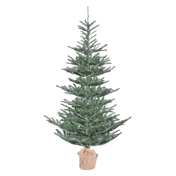 5' x 40" Alberta Blue Spruce 200LEDWmWht