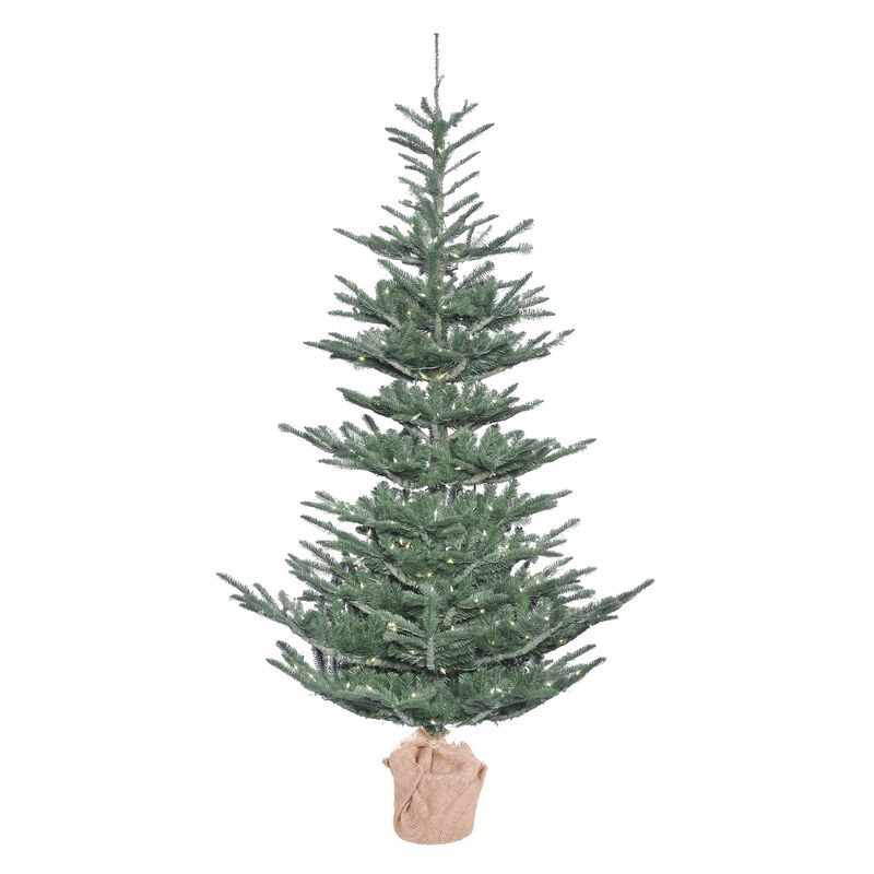 5' x 40" Alberta Blue Spruce 200LEDWmWht image number 0
