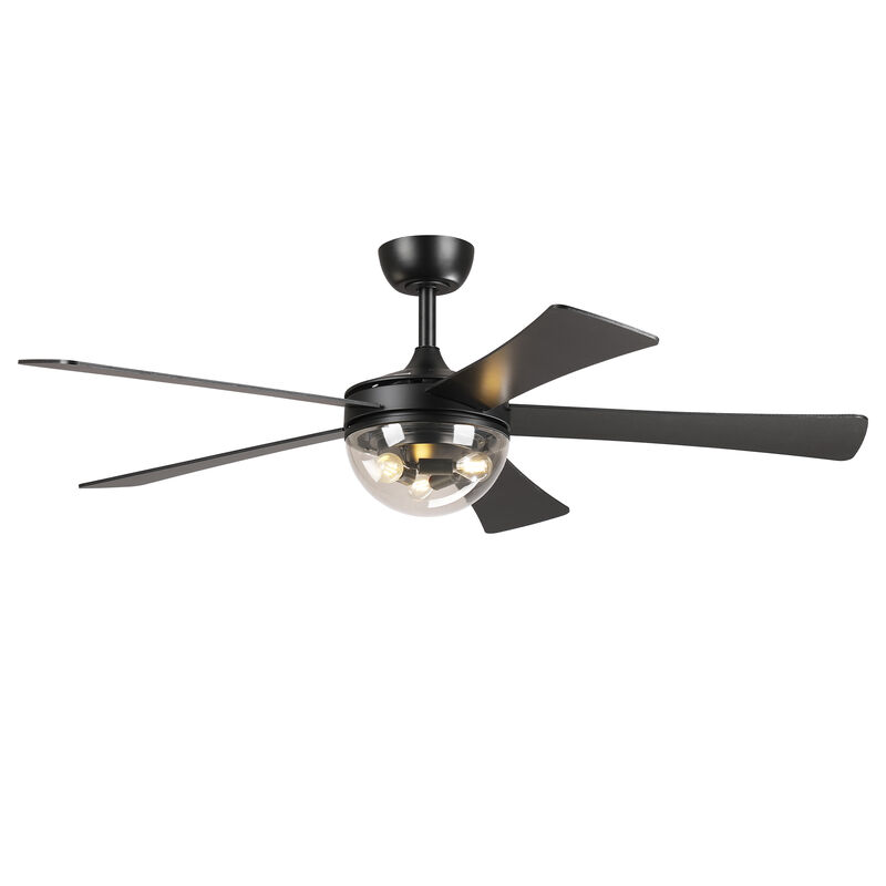 52" Modern Matte Black Reversible DC Motor Ceiling Fan with Light and Remote image number 0