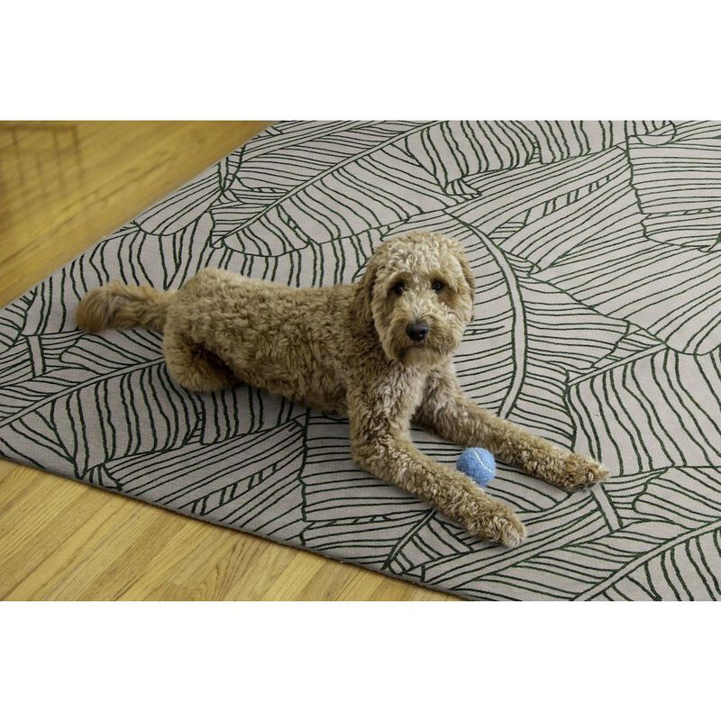 Linon Outdoor Washable Largo Ivory & Green, Rug