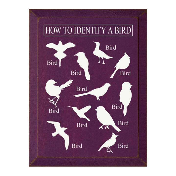 Bird Identification Chart Wall Decor From Solid Knotty Pine