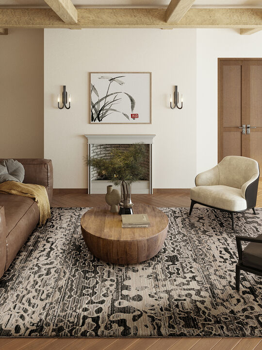 Denizi DZ6 Midnight 7'10" x 10' Rug