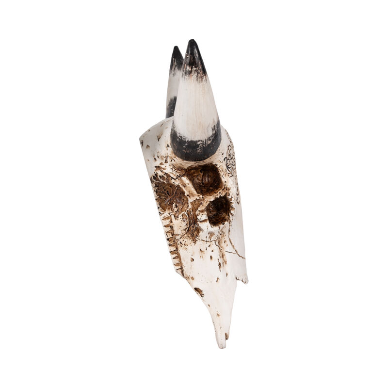 19" Western Bull Skull, Brown image number 2