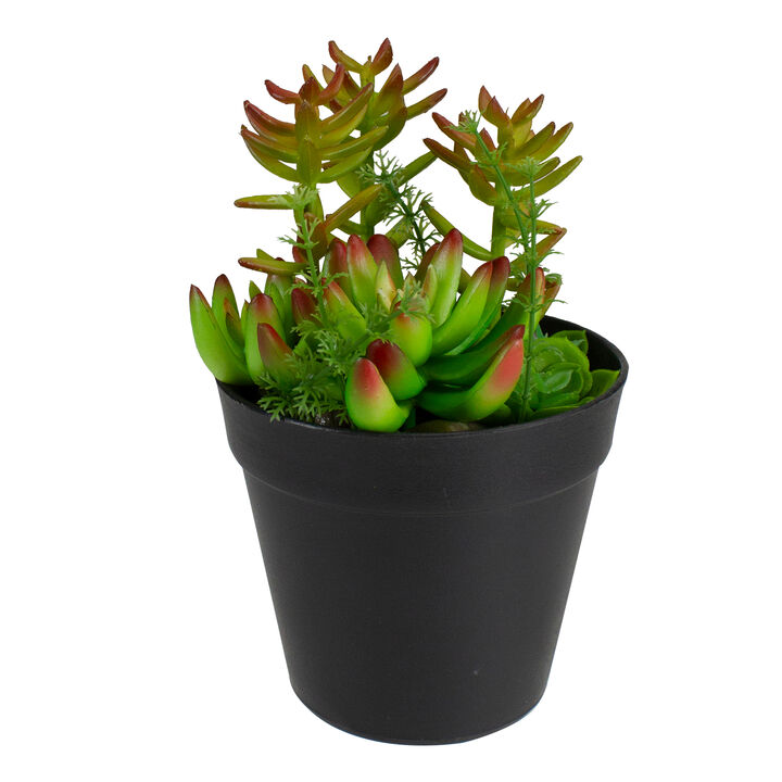 8" Green and Red Artificial Mixed Succulent Plant Arrangement
