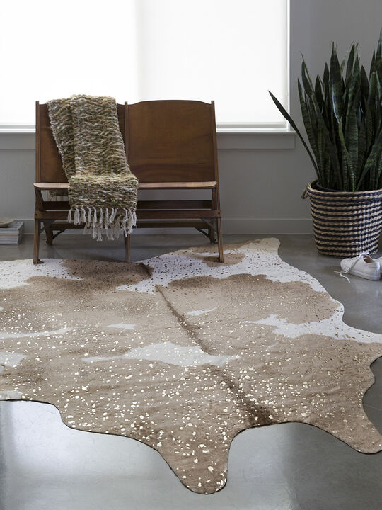Bryce BZ06 Taupe/Champagne 5' x 6'6" Rug