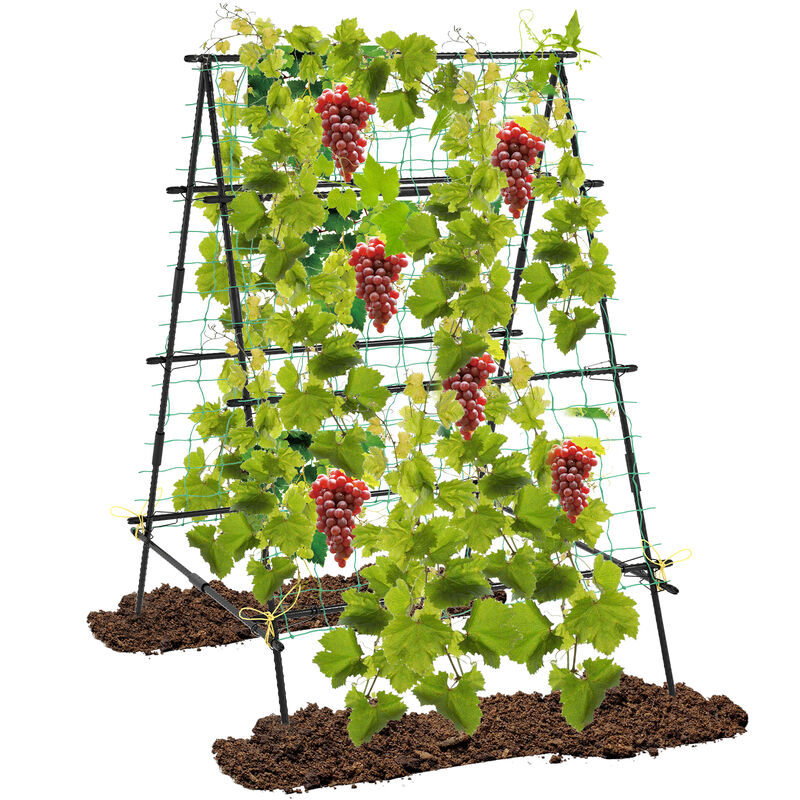 Heavy Duty A-Frame Trellis with Netting for Vertical Gardening