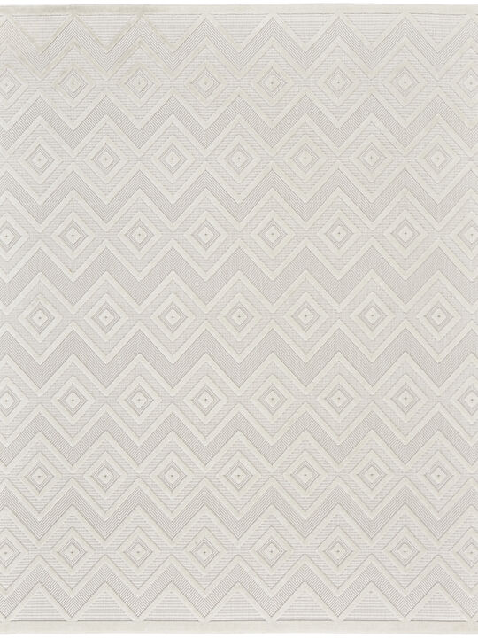 Versatile NRV01 Ivory/White 10' x 14' Rug