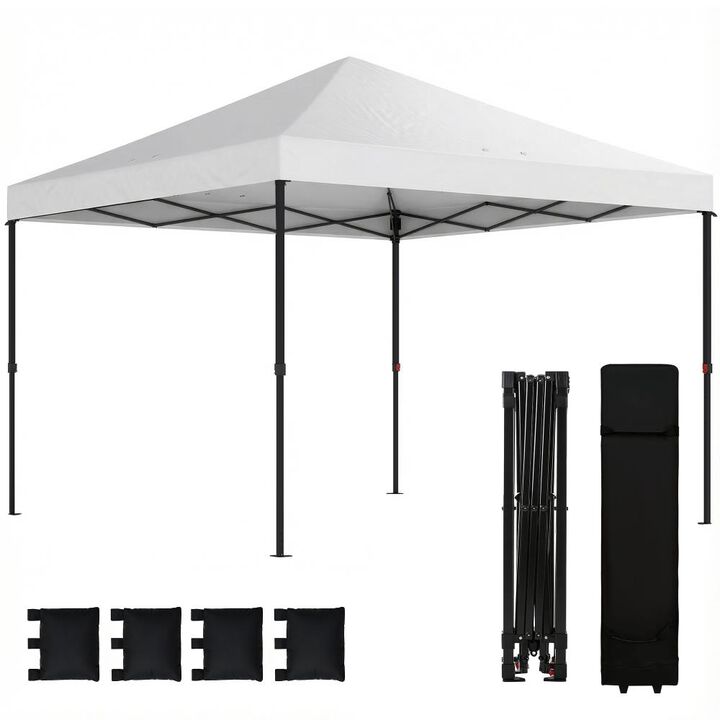 Hivvago 10x10 Pop Up Canopy Tent for Patio