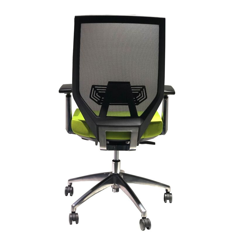 Adjustable Mesh Back Ergonomic Office Swivel Chair with Padded Seat and Casters, Green and Gray