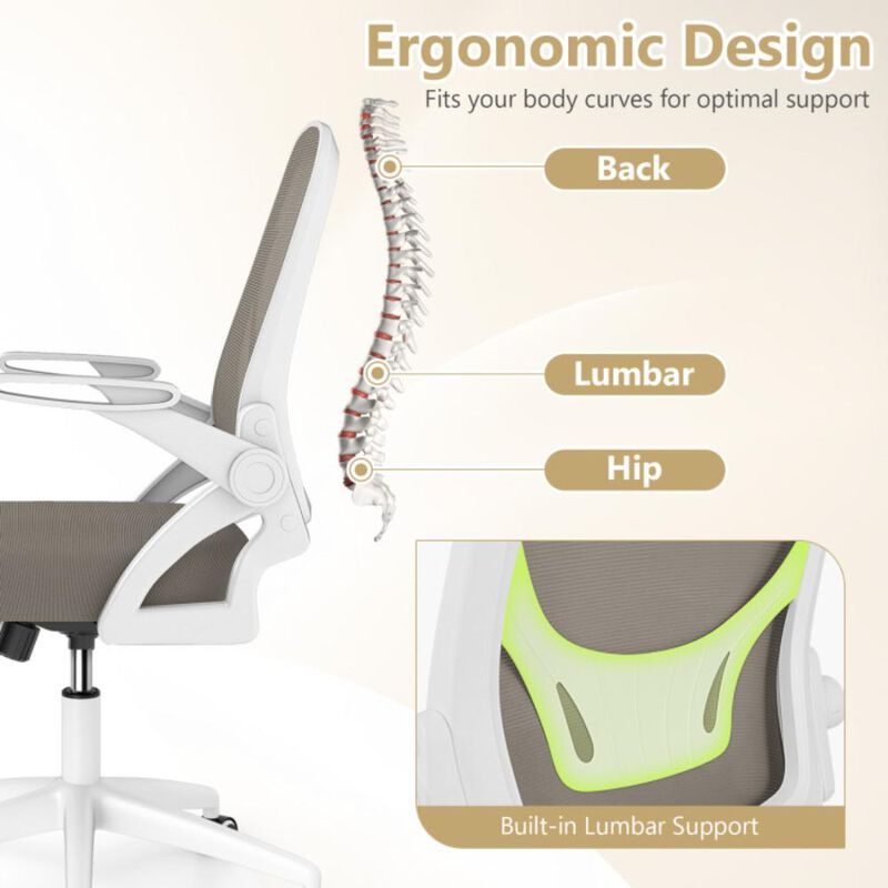 Hivvago Ergonomic Computer Desk Chair with Lumbar Support and Flip-up Arms