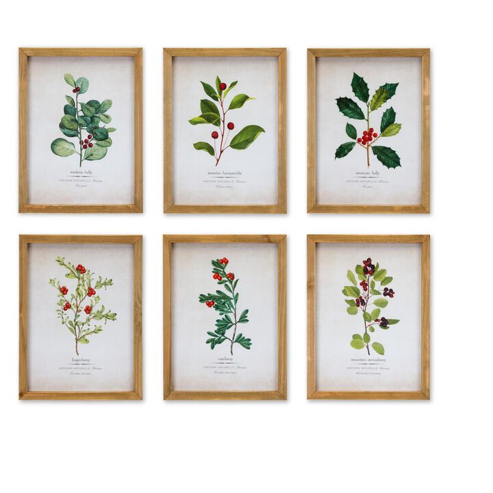 Winter Foliage Framed Set of 6 &ndash; Paper, Wood, and Glass Wall Art for Holiday, Seasonal, and Rustic Decor