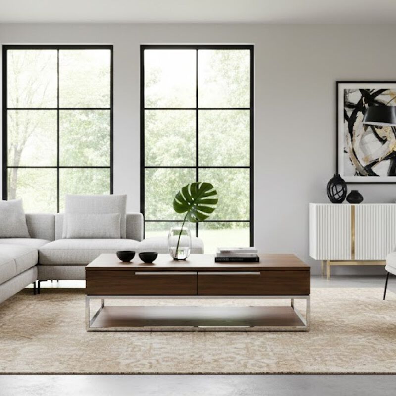 Walnut Veneer 2-Drawer Coffee Table | OROA Modern Heloise image number 1
