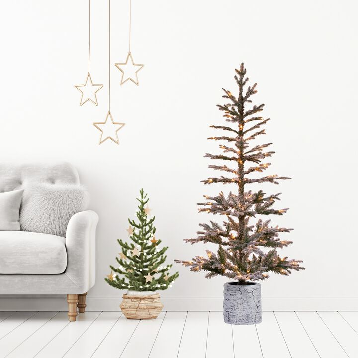 5 Foot Prelit Flocked Timberland Fir Potted Christmas Tree