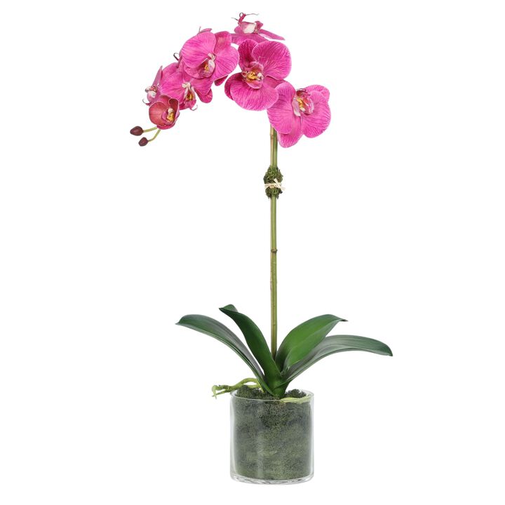 Artificial Orchid Plant in Vase - 20"
