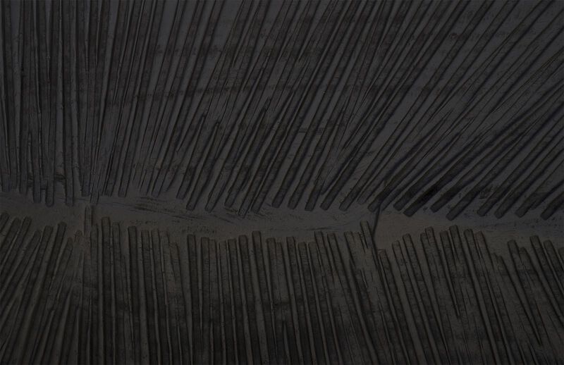 Large Carved Leaf on Stand