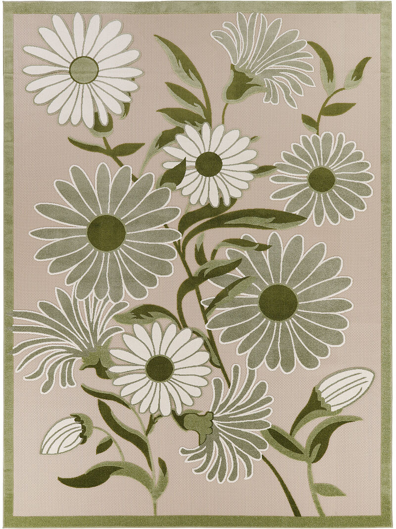 Aloha ALH33 Collection