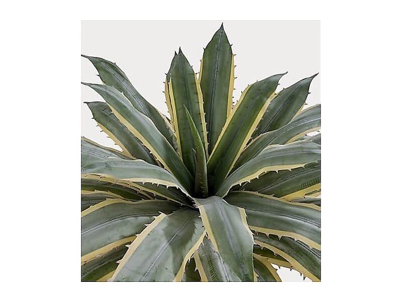 32 Inch Tall Large Faux Agave Plant Two Tone Sawtooth Edged Leaves Planted In image number 3