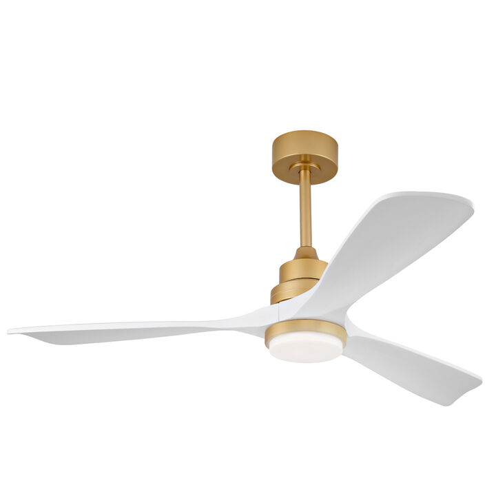 ELEMENT ACE Modern Ceiling Fan with Integrated LED Light and Remote Control featuring Reversible DC Motor