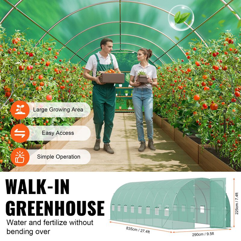 Galvanized Frame Walk-In Greenhouse with All-Weather PE Cover for Plants and Seedlings