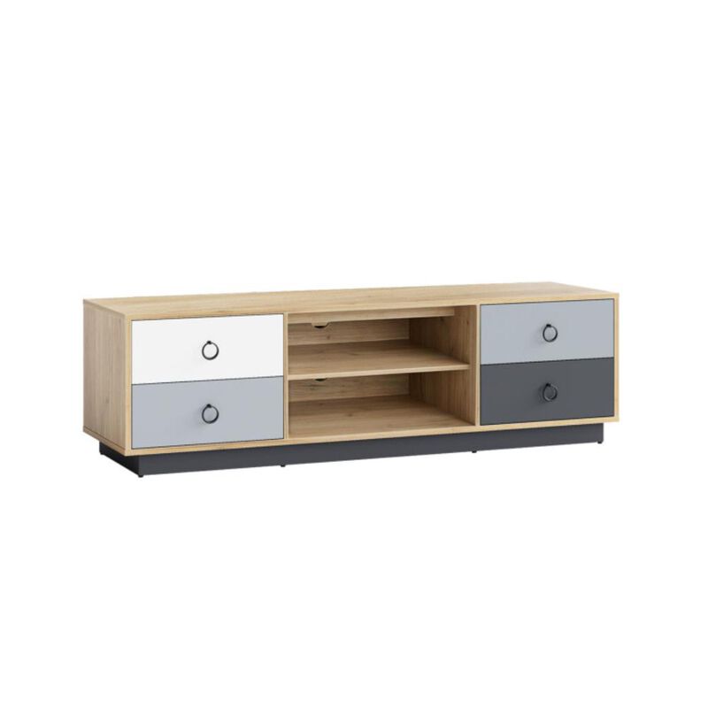 Hivvago Modern 55 Inch TV Stand with 2 Storage Cabinets for TVs up to 60 Inch