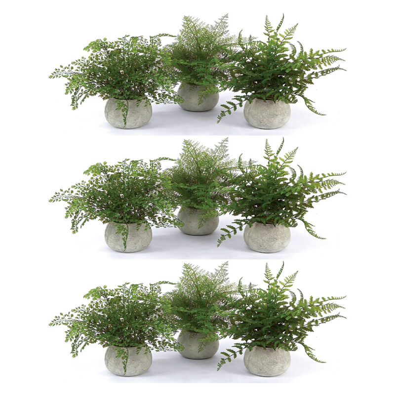 Set of 3 Potted Fern Plants in Grey Pots for Home D&eacute;cor and Indoor Gardening