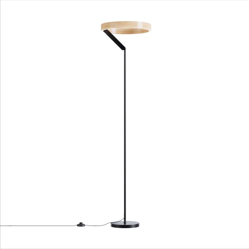 Modern 24W LED Floor Lamp 63 in. - 2700K Warm Light- Angled Design in Matte Black