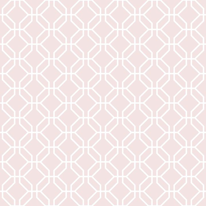 Secret Garden Trellis Negative Pink Wallpaper G78521