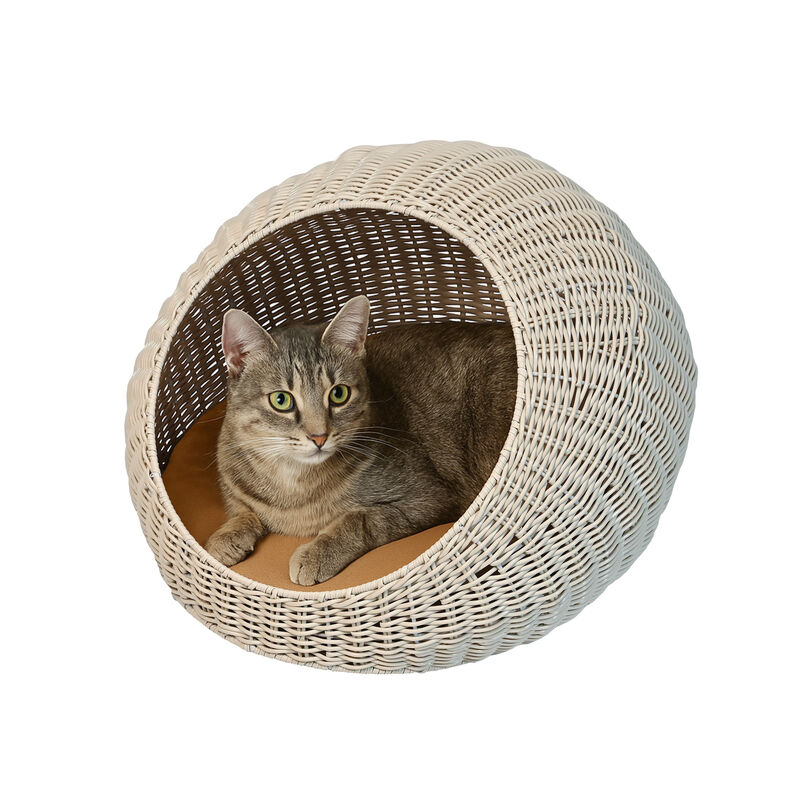 Fiora 19.5" x 18" Modern Circular Faux Wicker Pet Bed with Machine-Washable Cushion