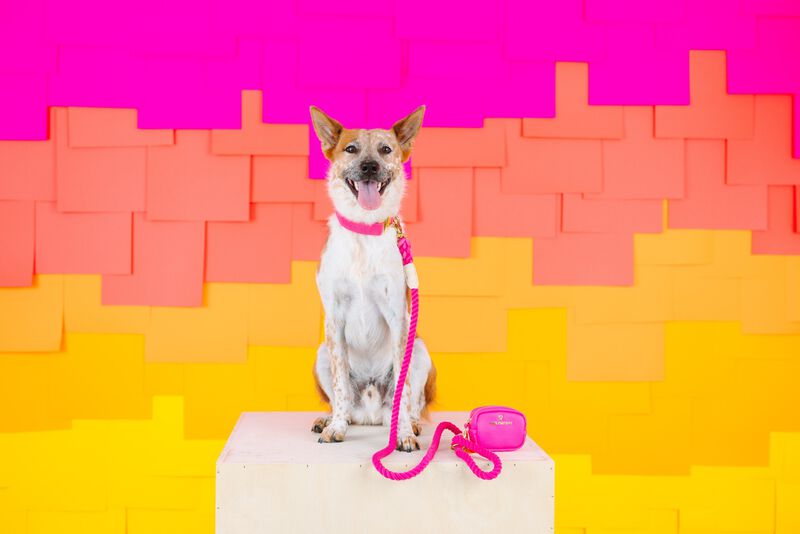 Christine Rope Dog Leash image number 2