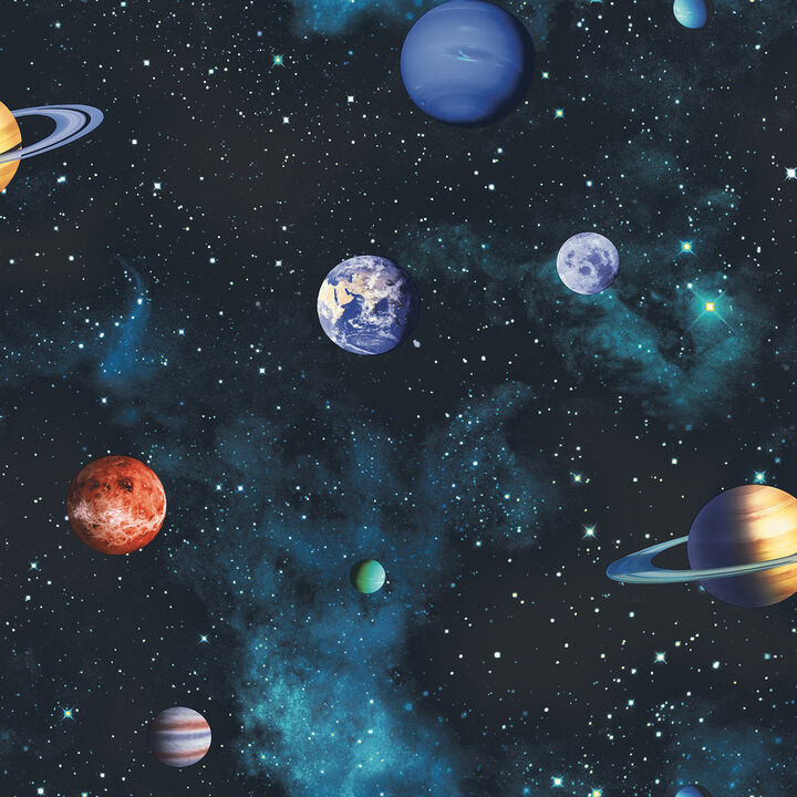Albert Black Cosmos Wallpaper (Set of 2)