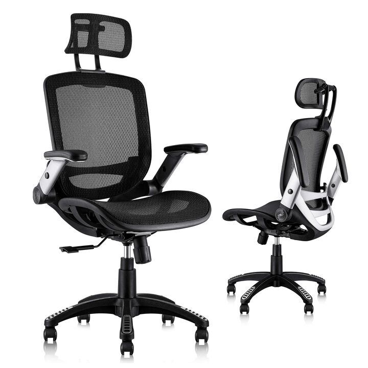 GABRYLLY Ergonomic Mesh Office Chair, High Back Desk Chair - Adjustable Headrest with Flip-Up Arms, Tilt Function, Lumbar Suppor