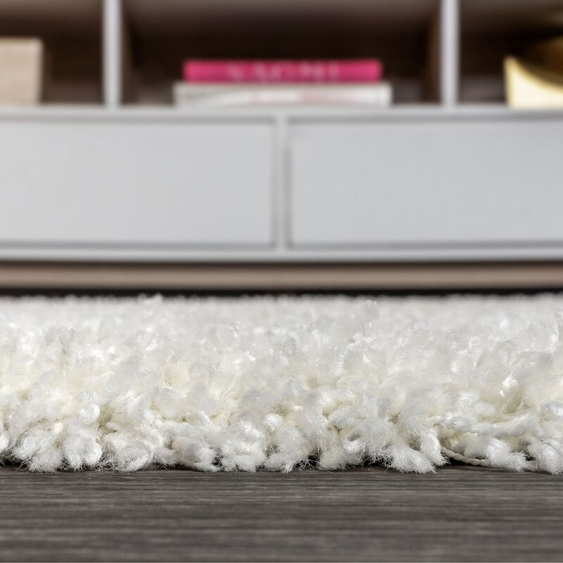 Mercer Shag Plush Area Rug
