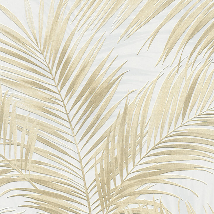 Calvado Palm Wallpaper