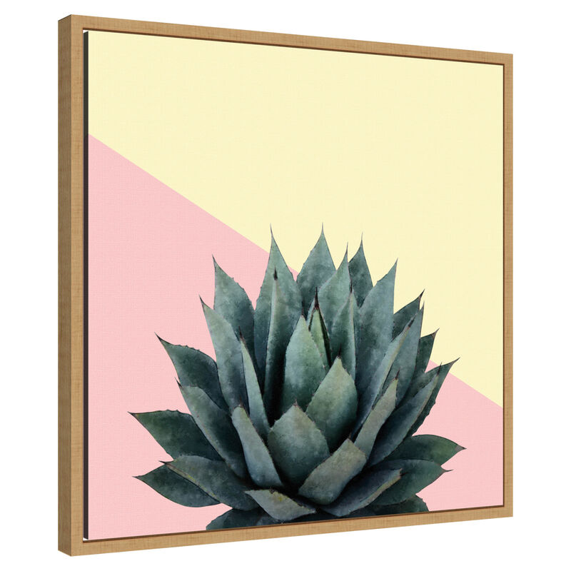 Agave 04 by Amini54 Framed Canvas Wall Art image number 2