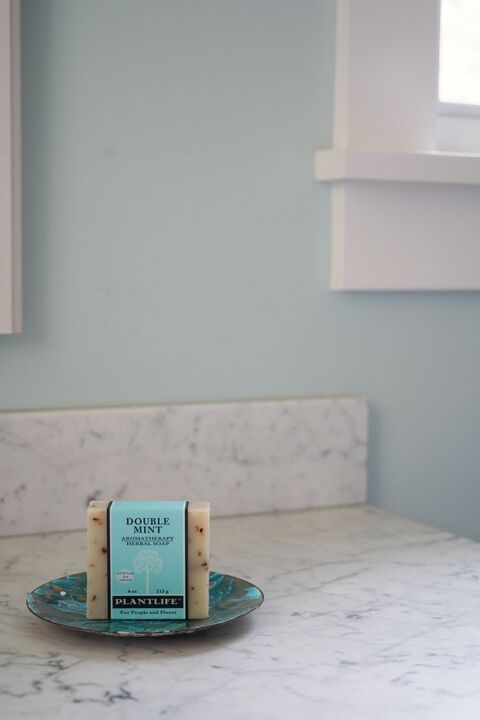 Plantlife Bar Soap - Double Mint