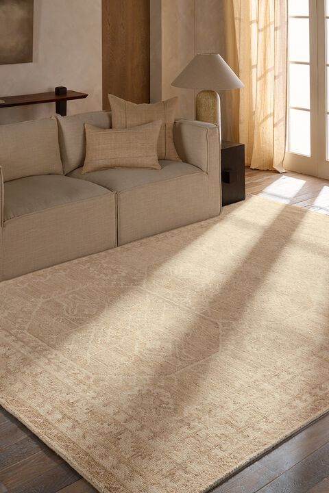 Azad Aires Frosted Almond 9' x 12' Rug