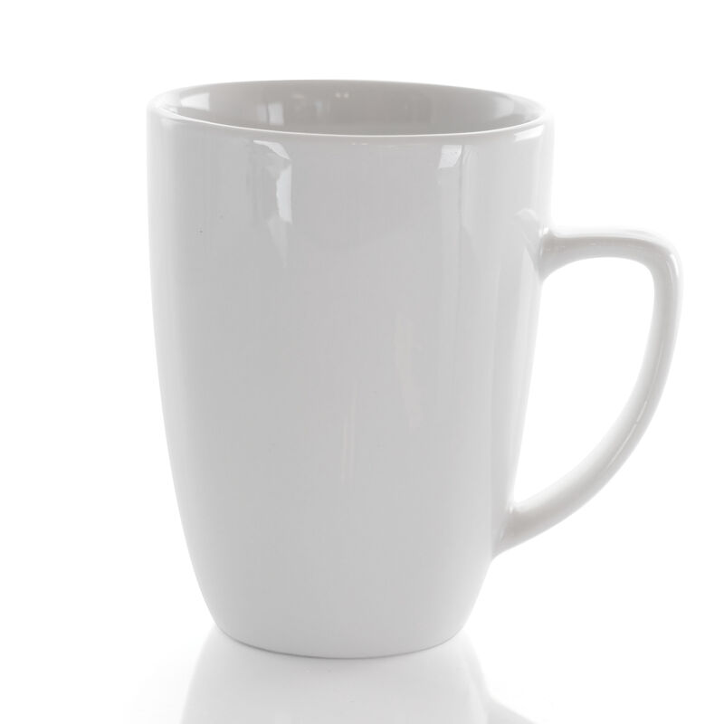 Elama Riley 12 Piece 12 Ounce Porcelain Mug Set in White