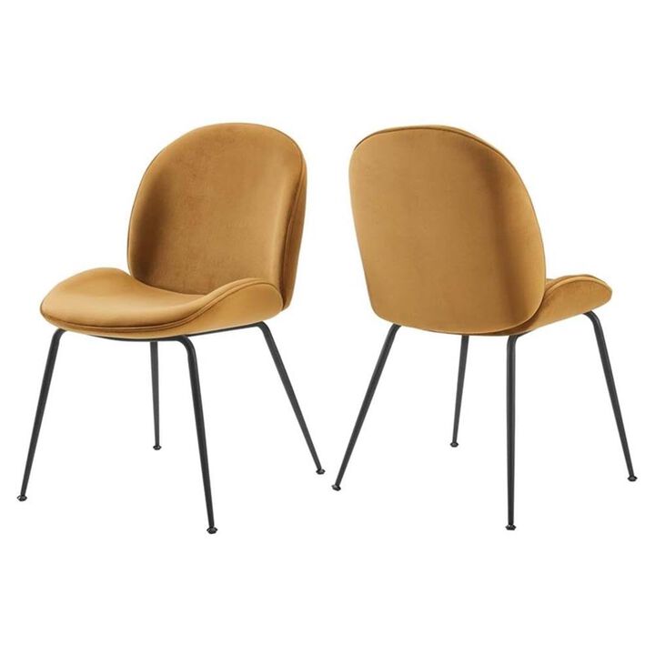 Modway EEI-4635-COG Scoop Black Powder Coated Steel Leg Performance Velvet Dining Chairs - Set of 2, Cognac
