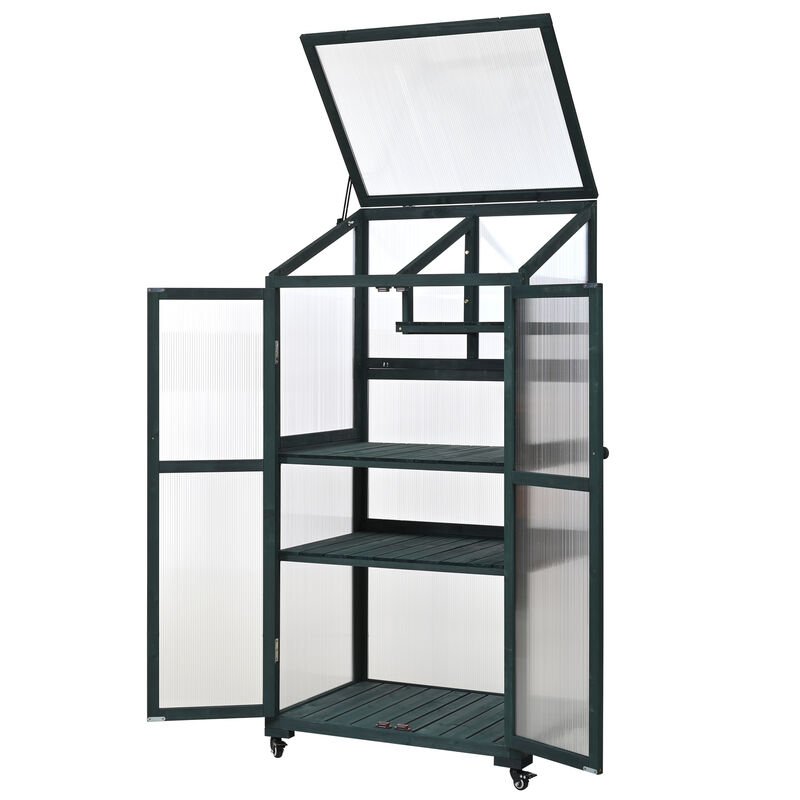 Whisen 78-Inch Garden sheds, Greenhouse with 4 Skylights & 2 Folding Shelves image number 6